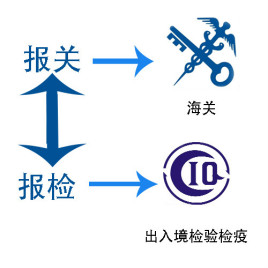 进出口报关服务